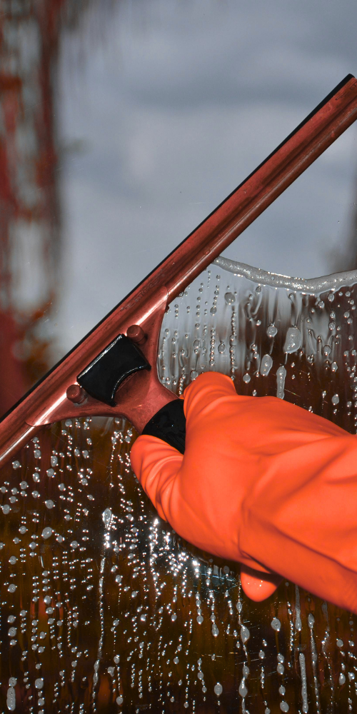 Reinigung einer Photovoltaik-Anlage auf einem Hausdach
